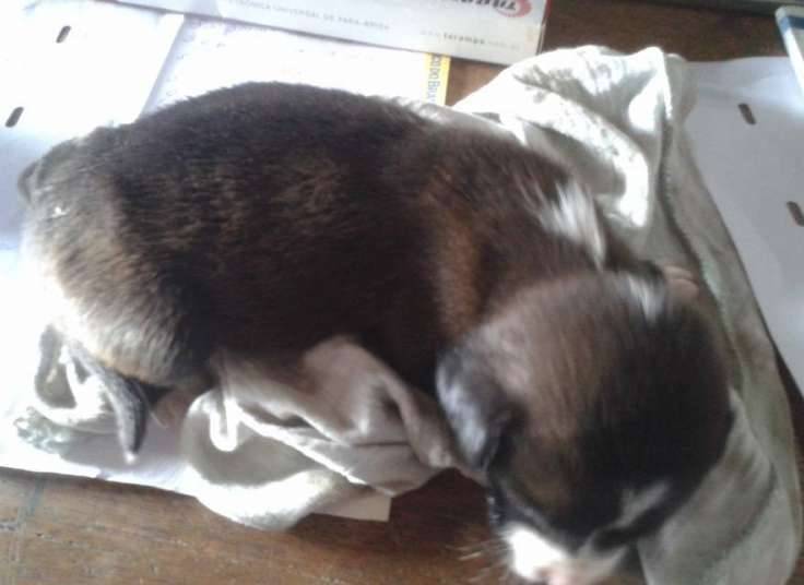 Photo