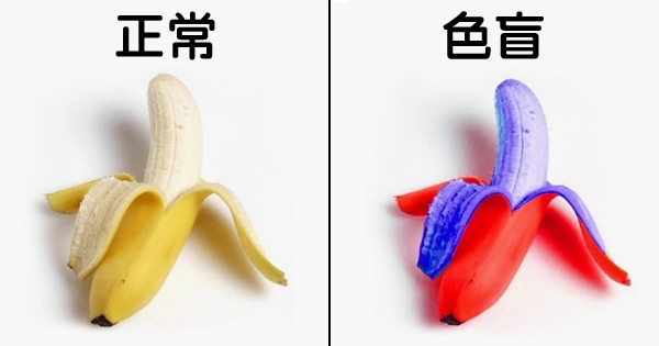 12张图让大家彻底理解「普通人VS色盲」的世界，他们眼中的彩虹超特别的！