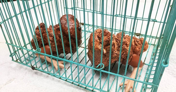 这个人提案「禁止沙威玛被割肉虐待」，结果引起关注甚至有人惊呼「沙威玛是自体增生的生物」！