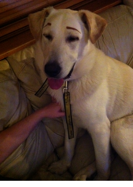 Photo