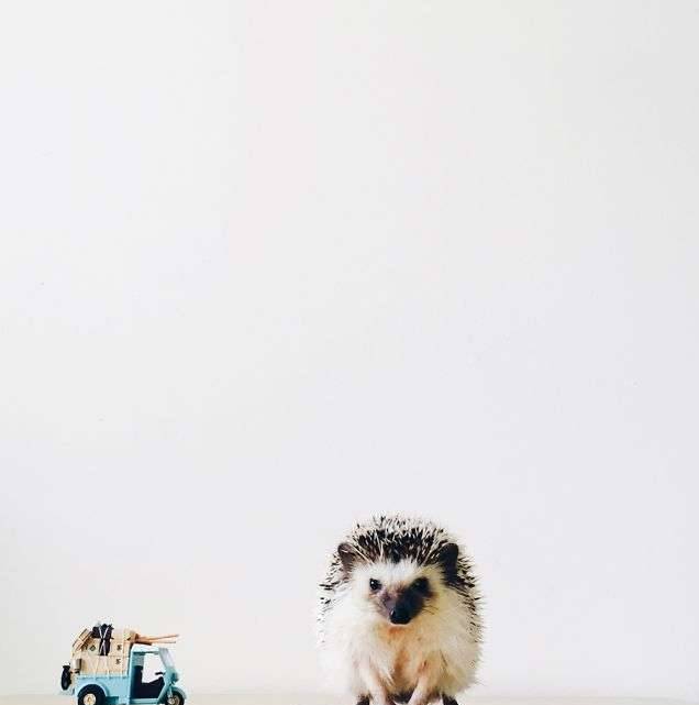 Photo