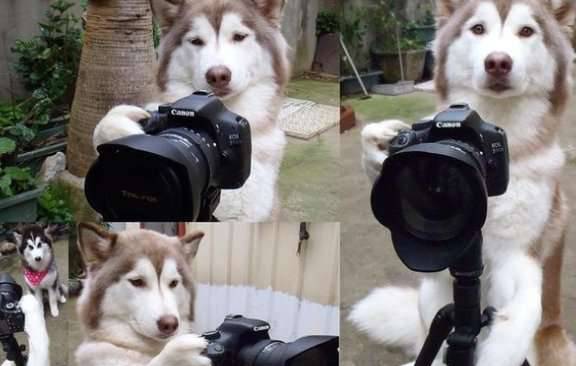 Photo
