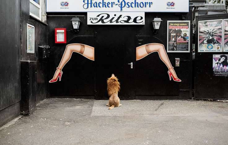 Photo
