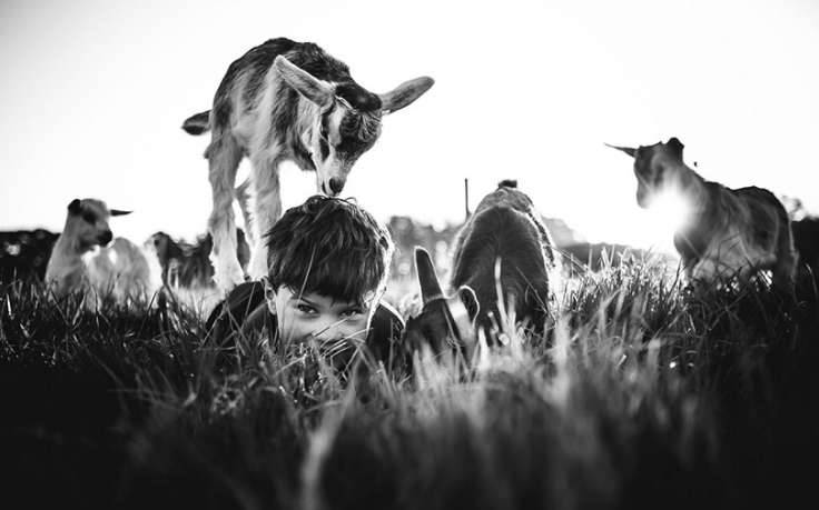Photo