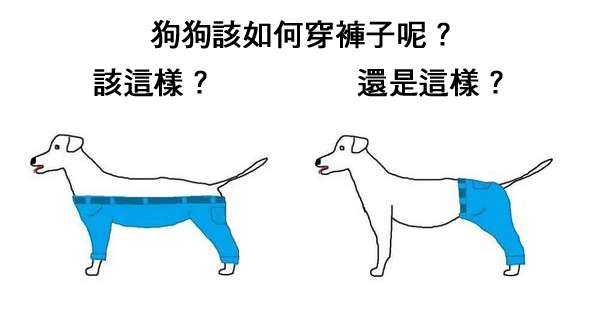 这张「狗狗应该如何穿裤子」的图片已经引起大家热烈争论，连其他动物都被牵连讨论！
